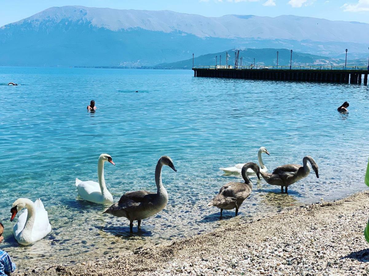 Syzo Apartments Pogradaş Dış mekan fotoğraf